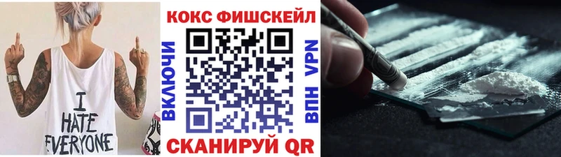 COCAIN Эквадор  что такое   Всеволожск 