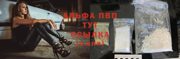 прущие грибы Аркадак