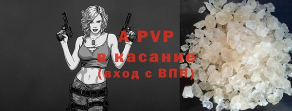 прущие грибы Аркадак