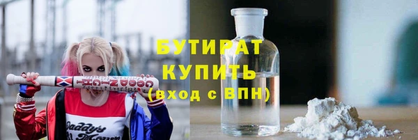 прущие грибы Аркадак
