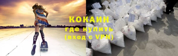 прущие грибы Аркадак
