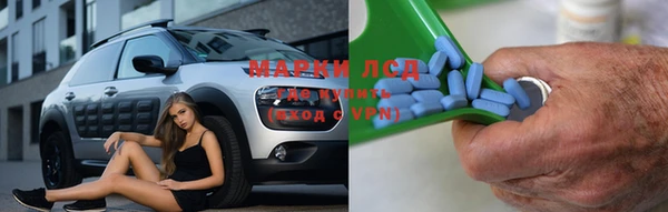 прущие грибы Аркадак