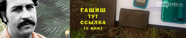 прущие грибы Аркадак