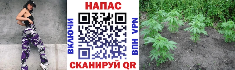 Марихуана OG Kush Всеволожск